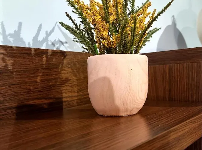 Atico Barxas Apartament